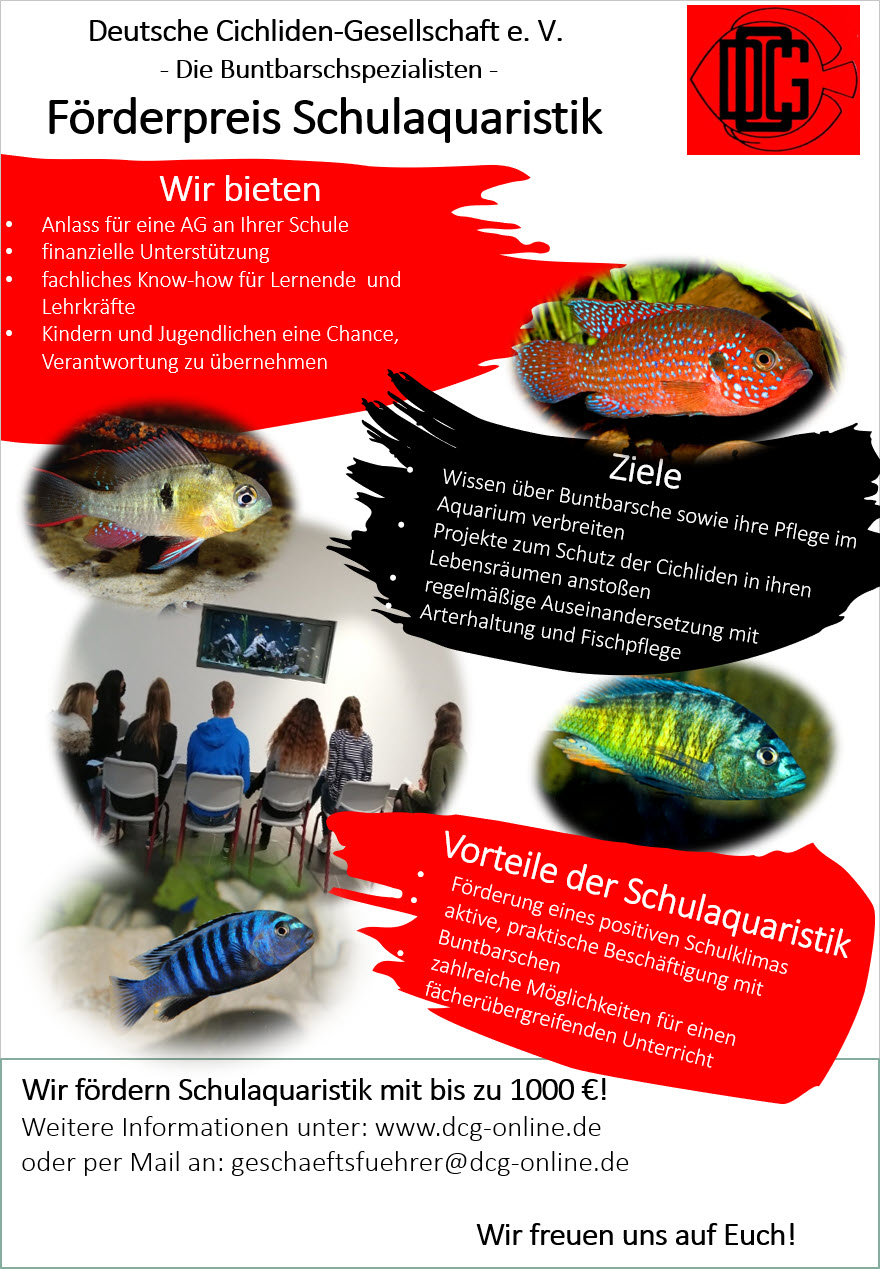 deutsche cichlidengesellschaft ev plakat schulaquaristik 2021