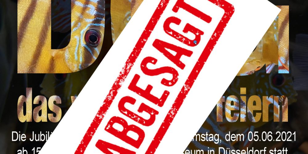 Leider abgesagt – Jubiläumsveranstaltung „50-Jahre DCG“